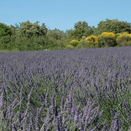 Bed & Breakfast Reves De Douceur
